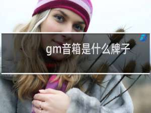 gm音箱是什么牌子