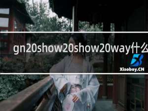 gn show show way什么梗