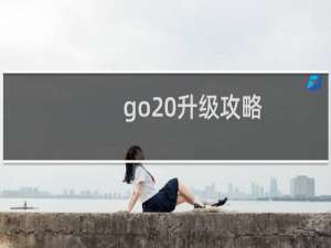 go 升级攻略