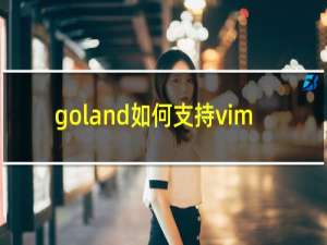 goland如何支持vim