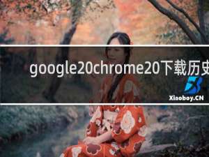 google chrome 下载历史