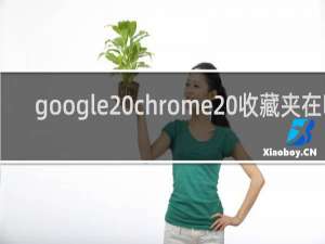 google chrome 收藏夹在哪