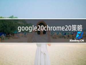 google chrome 策略