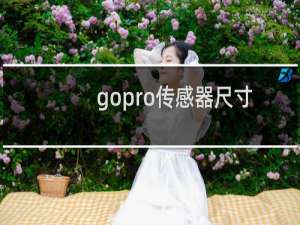 gopro传感器尺寸