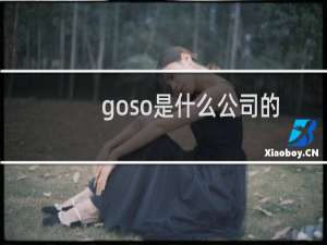 goso是什么公司的（goso是什么牌子）