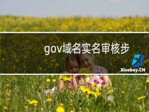 gov域名实名审核步骤-域名及账户问题