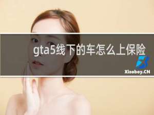 gta5线下的车怎么上保险