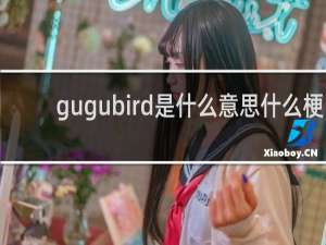 gugubird是什么意思什么梗