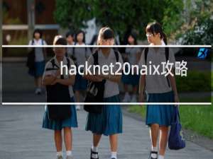 hacknet naix攻略