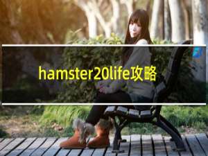 hamster life攻略