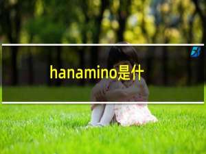 hanamino是什么牌子（hanamino是什么牌子）