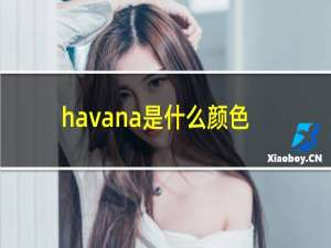 havana是什么颜色