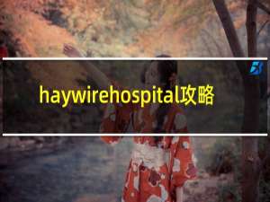 haywirehospital攻略