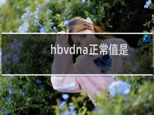 hbvdna正常值是多少iu/ml