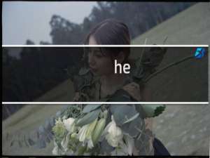 he.122.go∨.cn官网是真的吗（he122河北交管信息平台是真的吗）