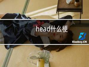 head什么梗