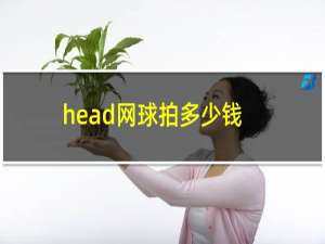 head网球拍多少钱（head网球拍）