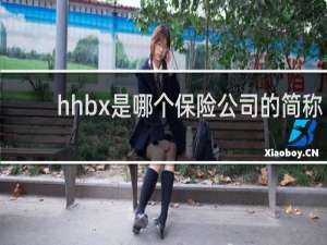 hhbx是哪个保险公司的简称