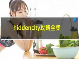 hiddencity攻略全集