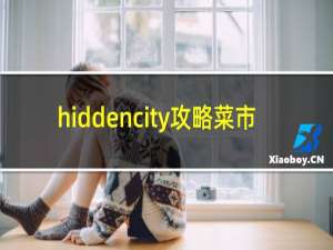 hiddencity攻略菜市