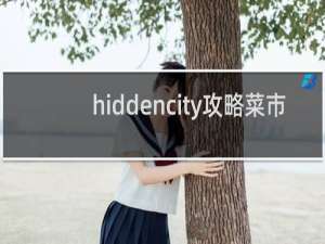 hiddencity攻略菜市