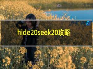 hide seek 攻略