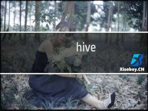 hive sql isnull