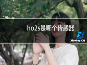 ho2s是哪个传感器