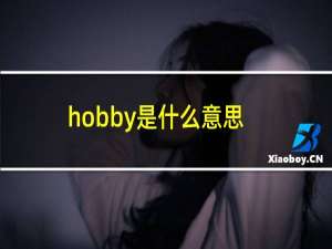 hobby是什么意思啊（hobby是什么意思）