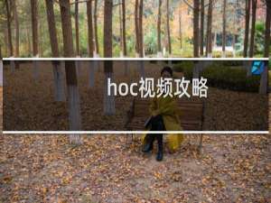 hoc视频攻略