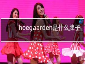 hoegaarden是什么牌子
