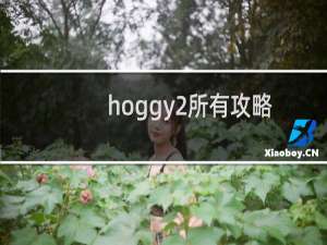 hoggy2所有攻略