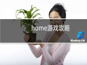 home游戏攻略