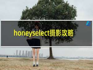 honeyselect摄影攻略
