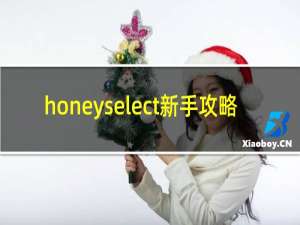 honeyselect新手攻略