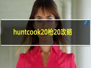 huntcook 枪 攻略