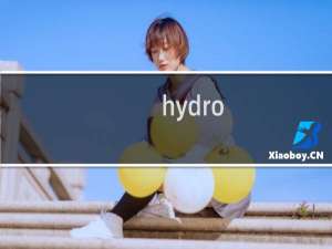 hydro-x.com.cn请协助查询此域名注册平台