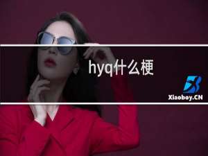hyq什么梗