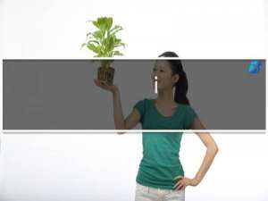 i.o.p是什么保险