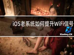 iOS老系统如何提升WiFi信号 IOS用户怎么增强wifi信号