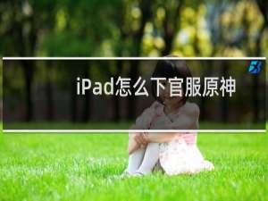 iPad怎么下官服原神
