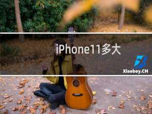 iPhone11多大和iPhone7P一样大吗（iPhone11大小）