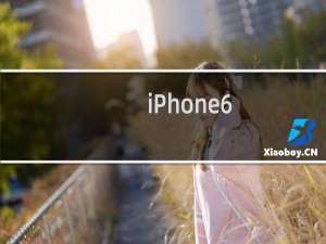 iPhone6/iPad air2怎么查询序列号？