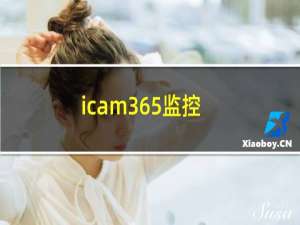 icam365监控