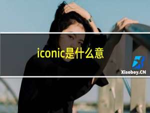iconic是什么意思中文翻译（iconic是什么品牌）