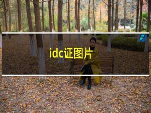 idc证图片（idc证）