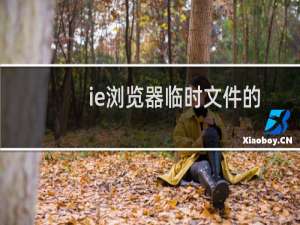 ie浏览器临时文件的位置在哪里?