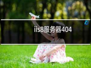 iis8服务器404做了之后不成功