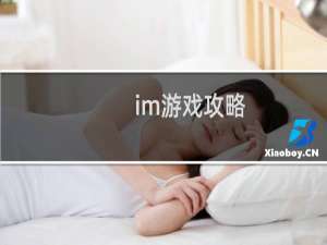 im游戏攻略