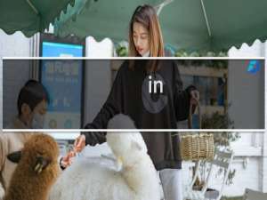 in（偶像团体里面）什么梗